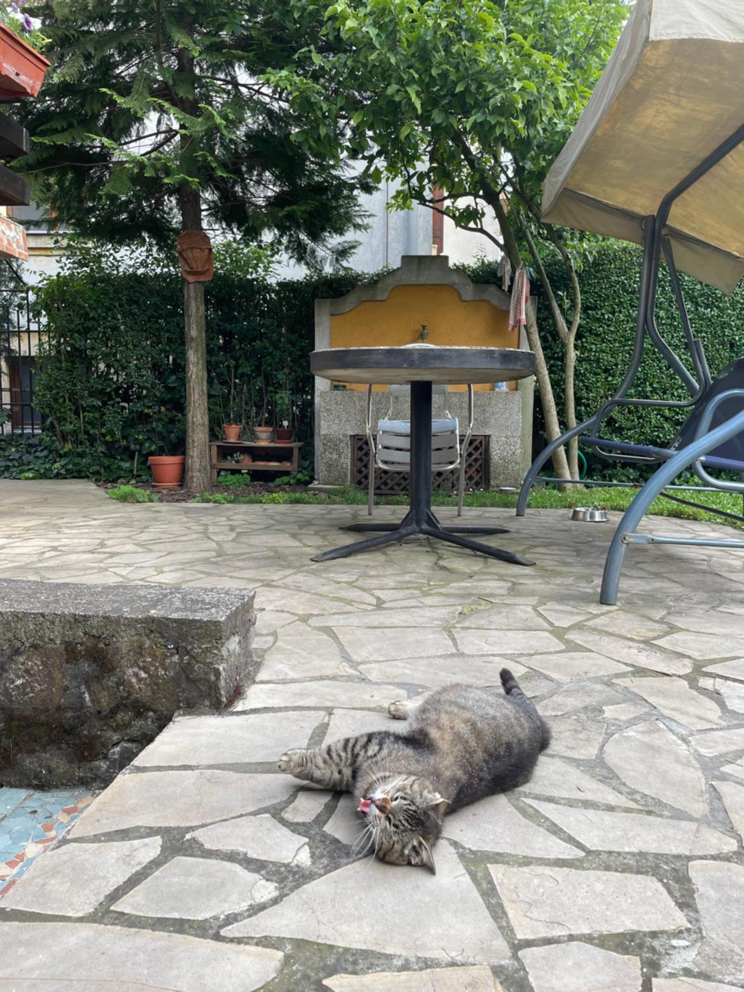 5Min Airport Apartman Surčin Kültér fotó